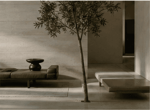 Minimal interior with stone textures, a tree, and warm light.